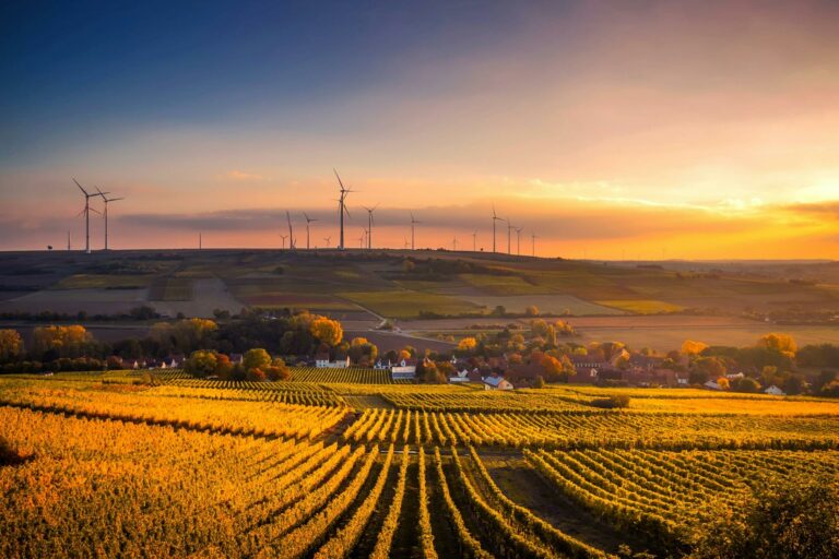 Energía solar y su impacto en la biodiversidad: Cómo la energía solar puede fomentar la vida silvestre